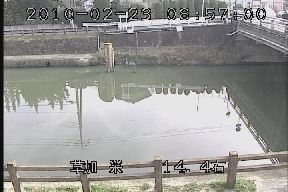 CuJ摜